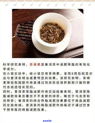 普洱茶的减肥秘密：科学证实的健益处与实践指南