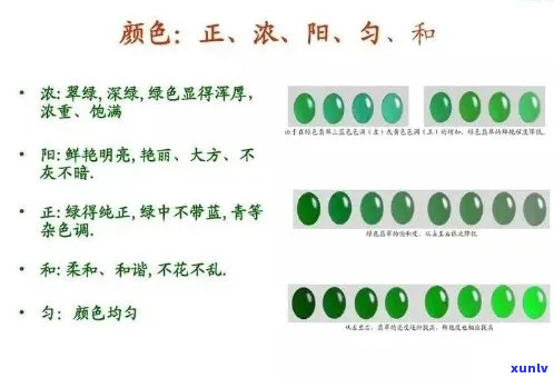 全面解析：翡翠的识别、评估与鉴赏指南