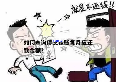 消费借款停息还款