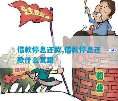 消费借款停息还款