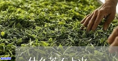 哪种茶叶不上火