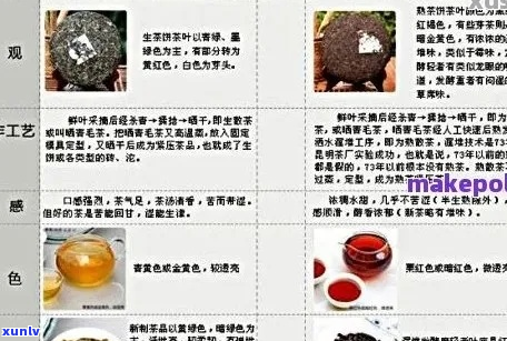 老树普洱茶价格一览表：全面指南与比较