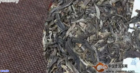 老树普洱茶价格与品质分析：一斤售价是多少？