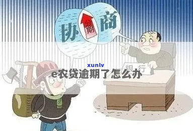 紫金农商银行E贷逾期无力偿还应该怎么办