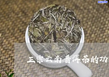 云南普洱绿茶有哪些功效？