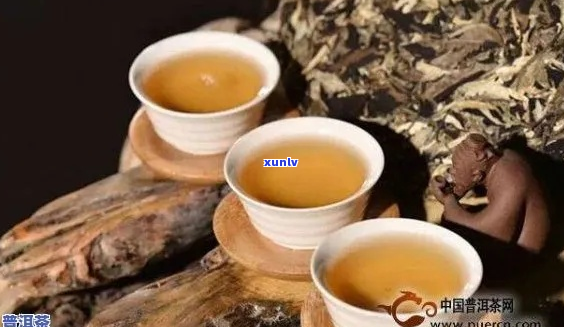 云南普洱绿茶有哪些功效？