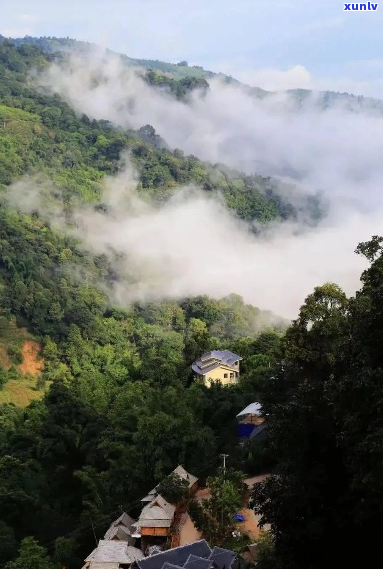 勐海县光芒山旅游指南：全面探索自然美景、文化遗迹与休闲活动