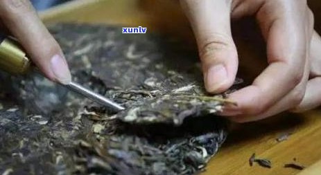 全面解析：普洱茶干茶的功效、好处及食用禁忌