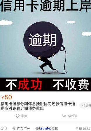 怎么申请停息期还款