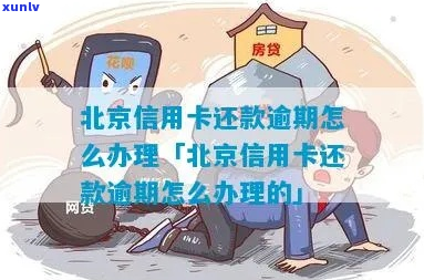 信用卡逾期咨询北京如何处理