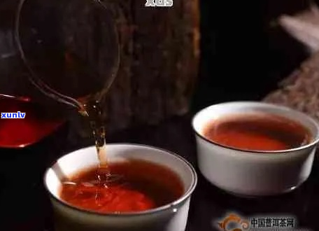 日常茶道中的经典：普洱茶的简易泡法与品鉴指南