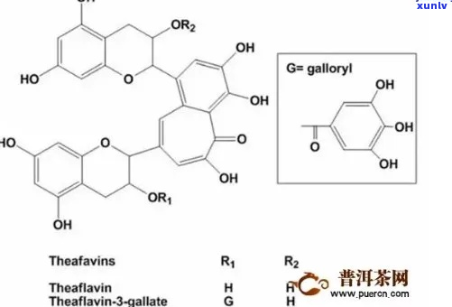 普洱茶中的天然黄酮成分分析