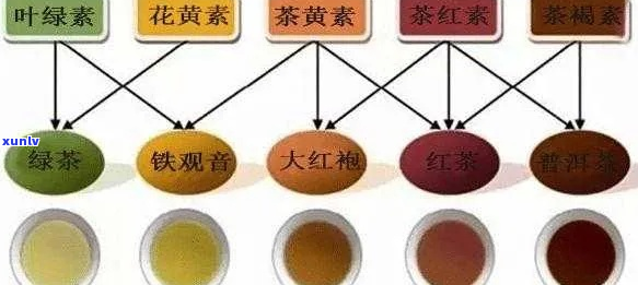 普洱茶中的茶黄素含量及功效解析