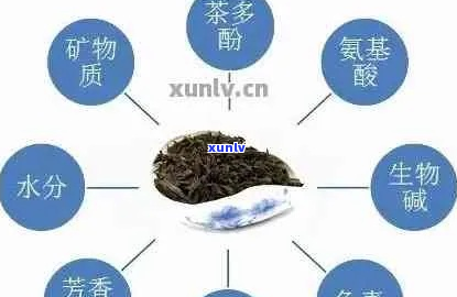 普洱茶含有茶黄素吗？为何它被认为对健有益。