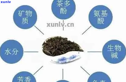 普洱茶有黄酮吗