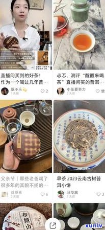 普洱茶产品全面介绍：从基础到鉴，满足您的所有需求