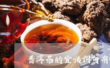 介绍普洱茶的句子