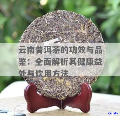 滇益普洱茶功效与作用