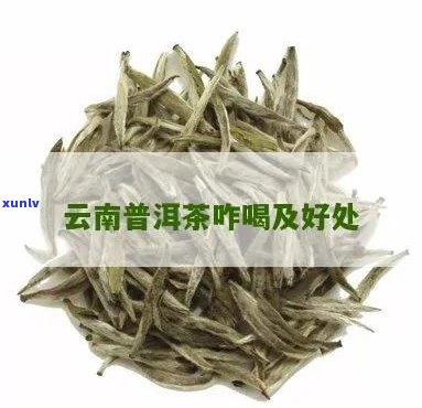 滇益普洱茶功效与作用