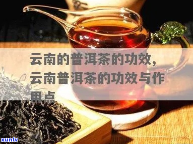 滇益普洱茶功效与作用