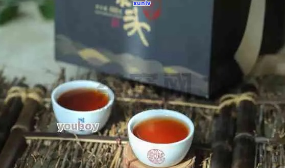 漭水古树茶：传统与现代的完美融合