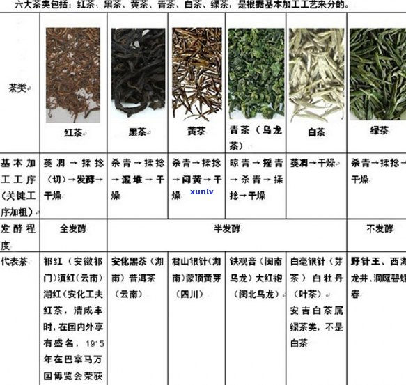 普洱茶年产量统计：具体克数详解