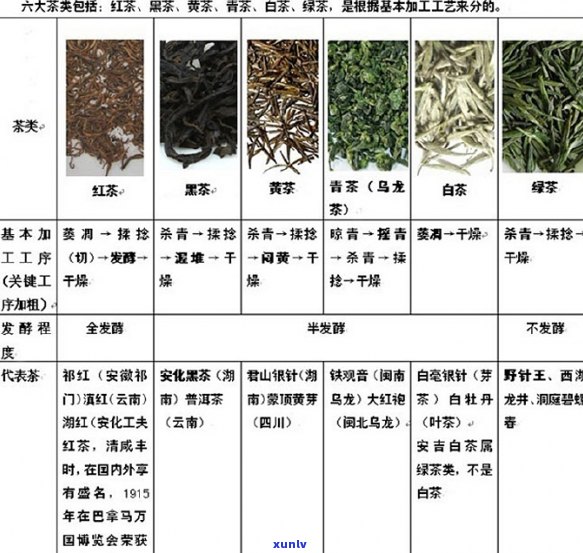 普洱茶年产量统计：具体克数详解