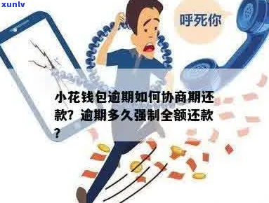 小花钱包怎么协商期还款步骤详解