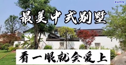 借了500万还不起怎么办及相关问题