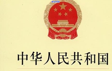 借了500万还不起怎么办及相关问题