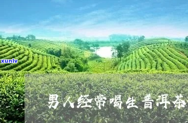 生普洱茶对男性的全面健益处