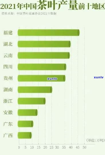 中国各地茶叶排名榜：最新前十名排名榜单