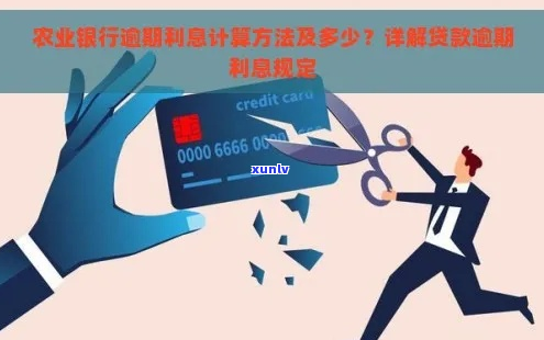 农业银行逾期利息计算详解