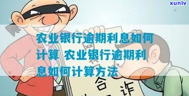 农业银行逾期利息计算详解