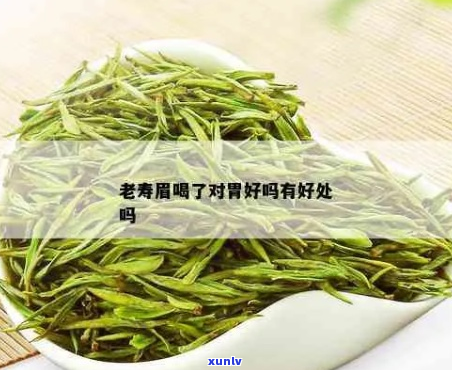 老寿眉和普洱茶哪个养胃效果更佳