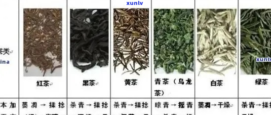 1800元一斤珍稀高山茶，顶级茶叶鉴