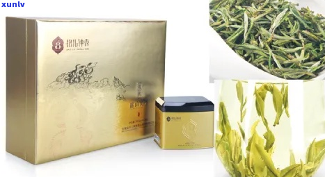 1800元一斤珍稀高山茶，顶级茶叶鉴