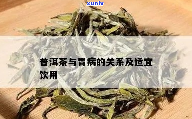 '胃烂患者饮用普洱茶的适宜性及可能影响评估'