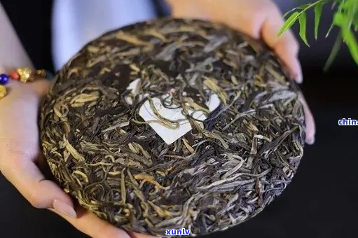 大益茶与老班章普洱茶：探索顶级茶品的鉴与品饮指南