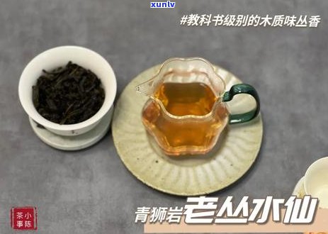 揭秘普洱茶中的茶多酚含量：真相大揭秘