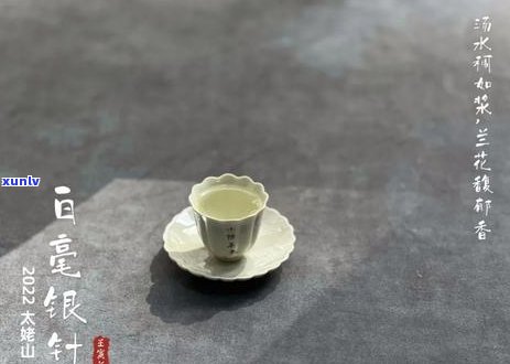 揭秘普洱茶中的茶多酚含量：真相大揭秘