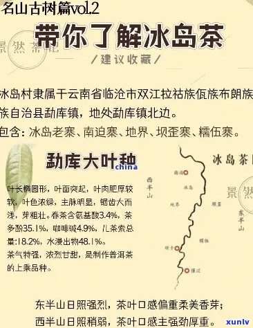 冰岛茶的历与起源：探寻其成名之路