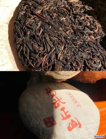 如何分辨普洱茶干仓湿仓