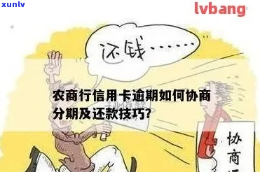 农商行便民卡长分期法务协商流程详解