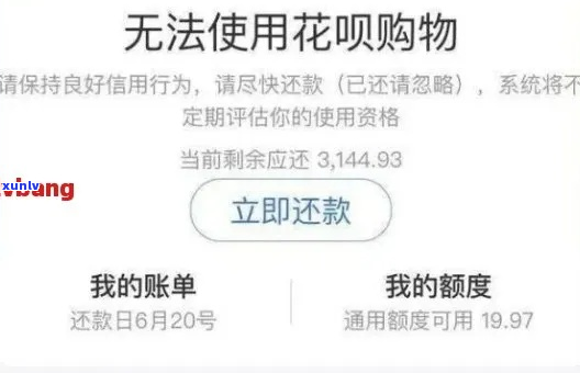 怎么跟花呗协商本金还款的 *** 