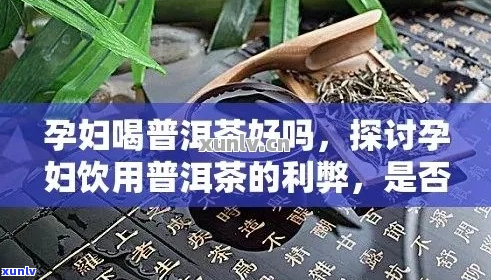 孕晚期饮用普洱茶的适宜性与潜在益处