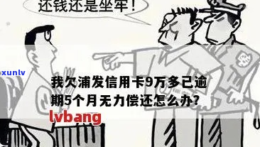 欠浦发10万无力偿还案例如何处理