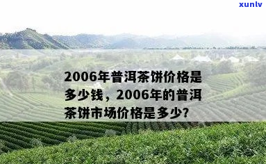 2006年帕卡普洱茶价格走势分析与评估