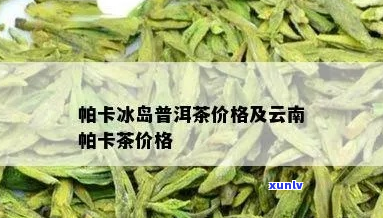 帕卡普洱茶价格