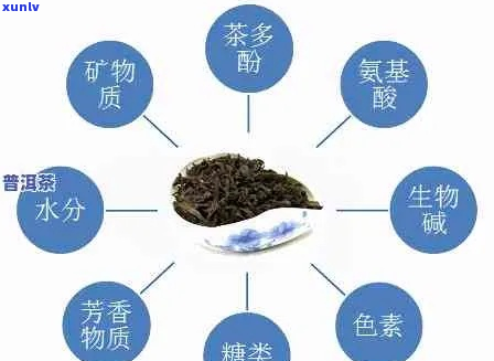 探索普洱茶对提升身体代谢率的科学影响